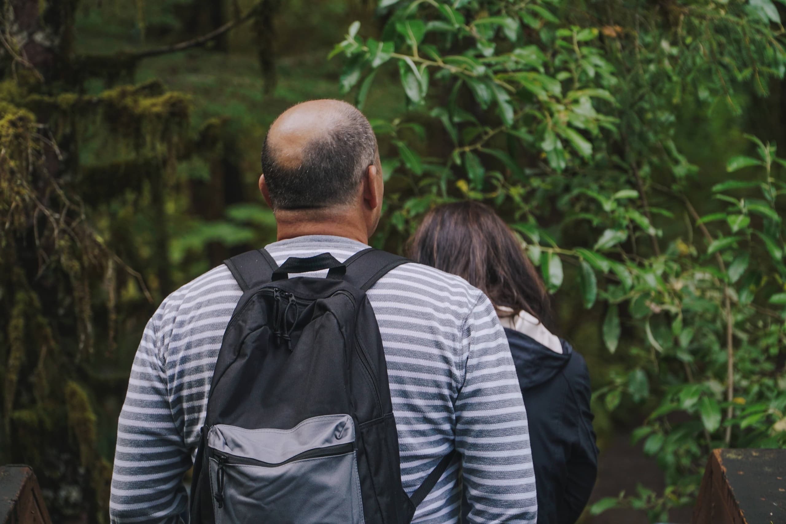 Rainforest Sanctuary & Totem Park