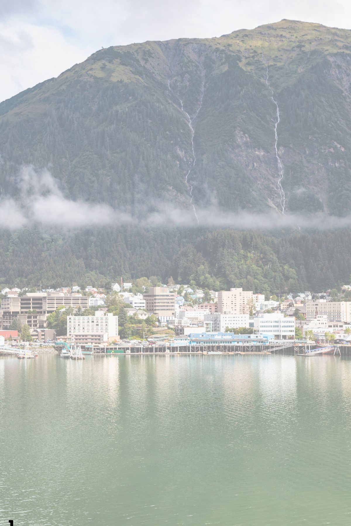 Private Charter Whale Watching and Mendenhall Glacier Tour